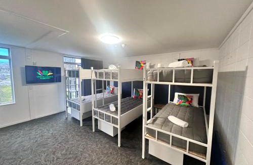 Rotorua Hostel | Urban Lounge Sleepery Dorm
