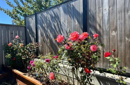 Kawarau Falls House | Remarkables View from Your Bed