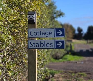 Mosgiel House | Saddleview Cottage - Horse and Pet Friendly