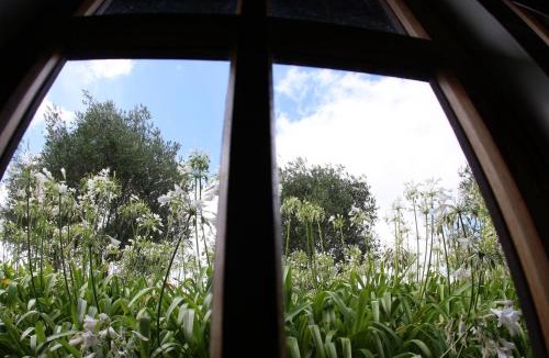 Helensville Hotel | Vineyard Cottages - Kumeu