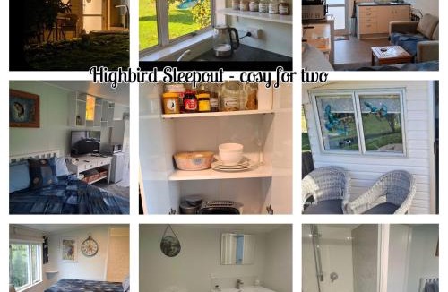 Piopio House | Highbird B&B