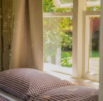 Raglan Cabin | Solscape