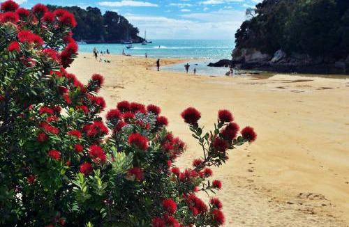 Nelson South Ski Chalet | Tintagel Garden Cottage