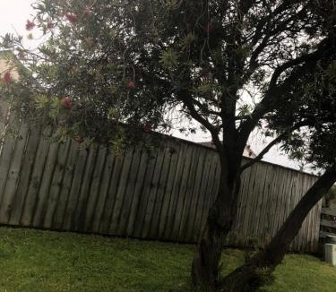 Papamoa Beach House | Dickson road gilla