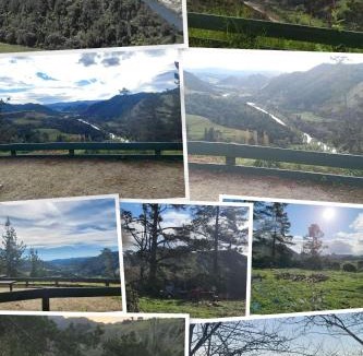 Parakino Other | Historical Parikino Scool Stay