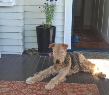 Leamington Bed & Breakfast | Robyn's Nest