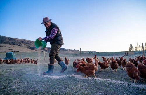 Ida Valley Hotel | Parkside Farm