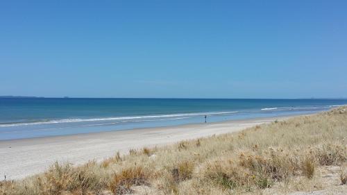 Mount Maunganui Hotel | Bay Palm Motel
