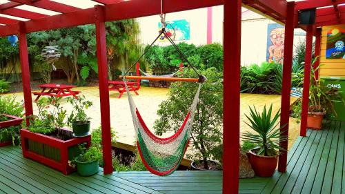 Westport Hostel | Bazil's Backpackers BBH Hostel & Surf School