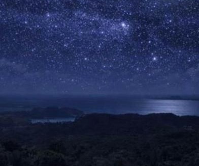 Kaeo House | Studio off-grid Bay of Islands