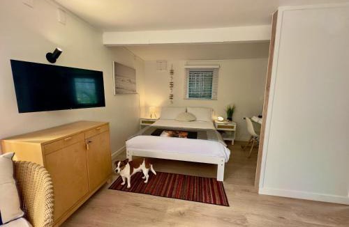 Papamoa Beach House | Turtle Cabin