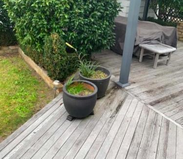 Pauanui House | Hosts on the Coast Crown Reef Cottage