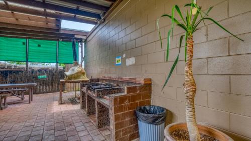 Kaitaia Cabin | Beachcomber Lodge & Backpacker