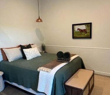 Te Miro House | Paddock 26