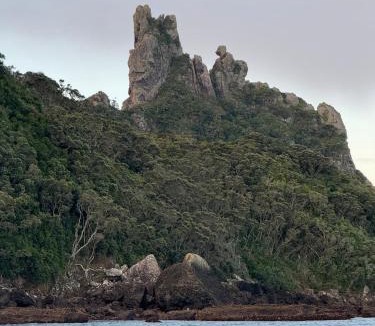 One Tree Point House | The Bach at One Tree Point