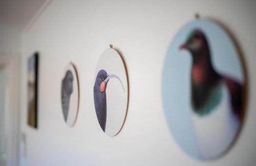 Te Anau House | Dragon Fly Cottage - Te Anau Holiday Home