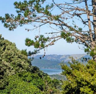 Laingholm House | Roberts Retreat - Auckland Holiday Home