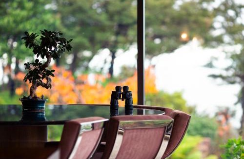 Ngaio Bay Cabin | Lodge by the beach - Luxury, Beach access, Ocean views, Private chef
