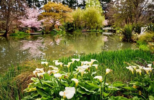 Featherston Bed & Breakfast | Fernside Estate and Gardens