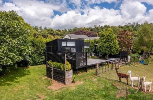 New Plymouth House | Fig Cottage
