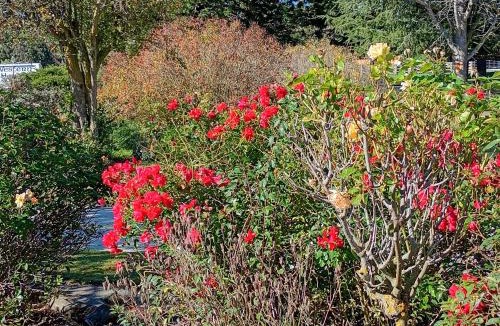 Kurow Bed & Breakfast | Western House B&B Kurow