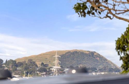 Mangere Bridge Apartment | Modern Apartment Near The Airport