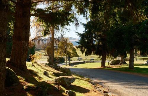 Wanaka Cabin | Nordic Villages at Sundale Holiday Park