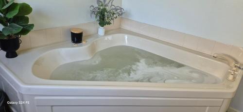 Palmerston North Bed & Breakfast | Beyond3Generations