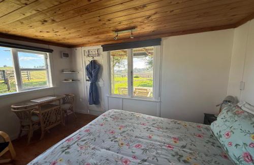 Bay of Plenty Region House | The Hilltop Farm Cabin Retreat