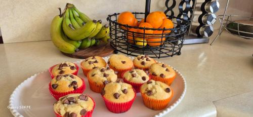 Palmerston North Bed & Breakfast | Beyond3Generations