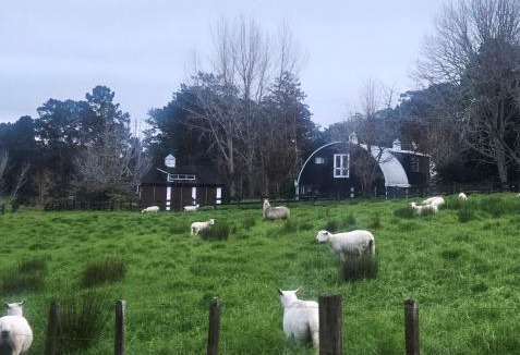 Kumeu House | Amore Manor Auckland
