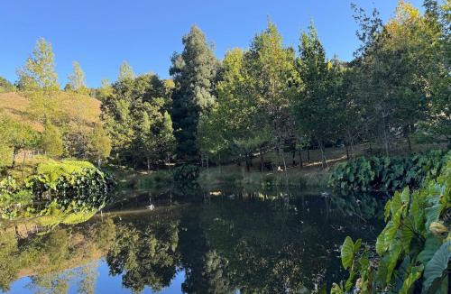 Clevedon House | Country Cabin all to yourself, with wood fired sauna