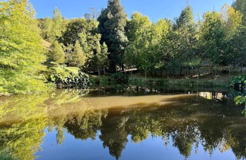Clevedon House | Country Cabin all to yourself, with wood fired sauna
