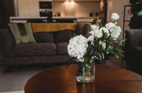 New Plymouth CBD House | Perfect On Powderham Prime Inner City Location