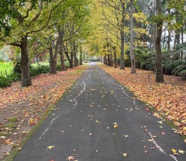 Kumeu Cabin | Willows Reach Lodge