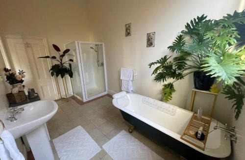 Tirau Bed & Breakfast | Rose Lodge Bed & Breakfast