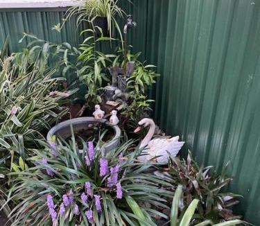 Tirau Bed & Breakfast | Rose Lodge Bed & Breakfast