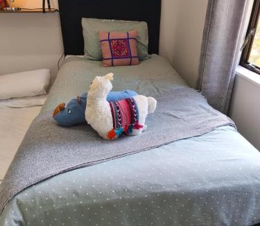 Mount Albert House | Jade of Owairaka! 3 minutes walk to the park