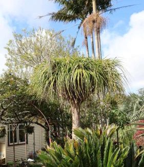 Whenuapai House | Tranquil Early 1900s Retreat in Auckland with Free Parking