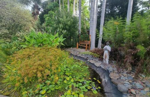 Taupo Bay Apartment | Sub-Tropical Paradise Retreat Willow Creek Cabin with Access to Sauna