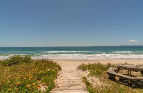 Whangapoua House | Poppy's Beach House - Beachfront Whangapoua Home