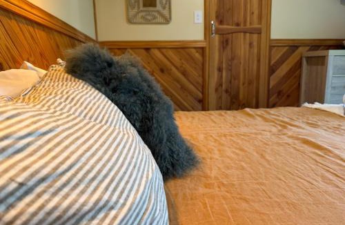 Te Anau Hostel | Te Anau Lakefront Backpackers