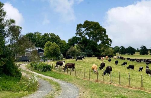 Gordonton House | Peaceful Country Escape in Gordonton - Green Meadows Cottage