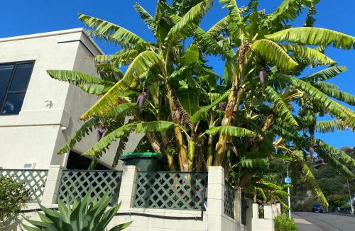 Bluff Hill Apartment | Maison Blue - Chic Garden Apartment - Pet Friendly