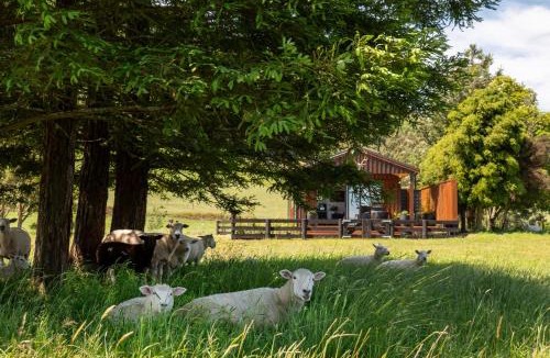 Waiotapu Ski Chalet | Kōtare Lakeside Retreat