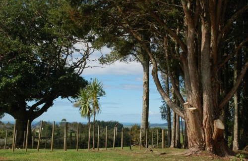 Parua Bay House | Kohinui Glade Holiday Cottage
