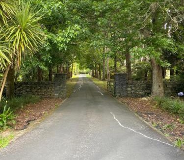 Kumeu Cabin | Willows Reach Lodge