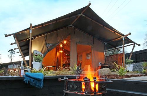 Raglan Other | Raglan Rural Retreats - Kauri Tent