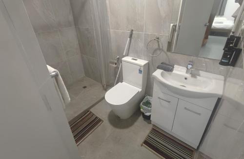 Auckland Apartment | 2 Double Beds, 3 Single Beds, and 2 Sofa Beds Serviced Studio