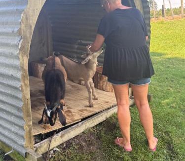 Whangarei Bed & Breakfast | Private Cabin close to the City Centre